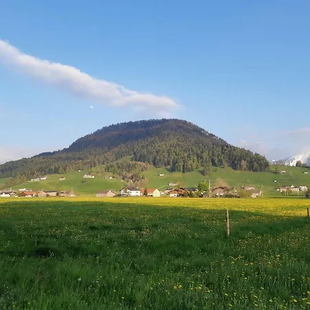 Gmeiner Apartment